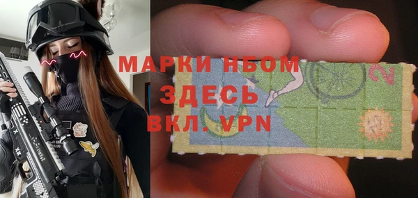 стаф Пересвет