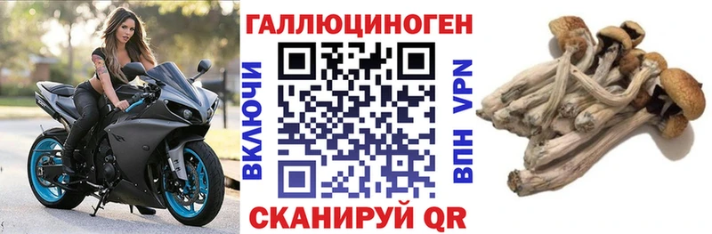 Галлюциногенные грибы Cubensis  как найти закладки  Топки 
